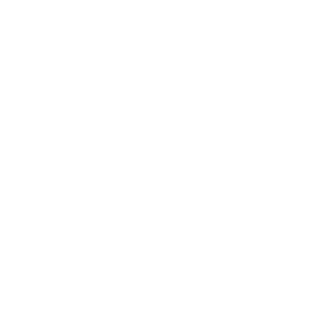 ___amirulstein's emblem
