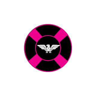 SureVibe's emblem