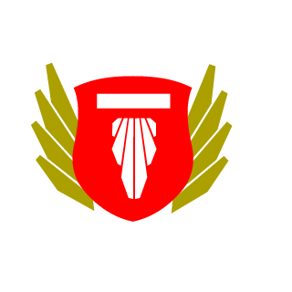 TeamFalak's emblem