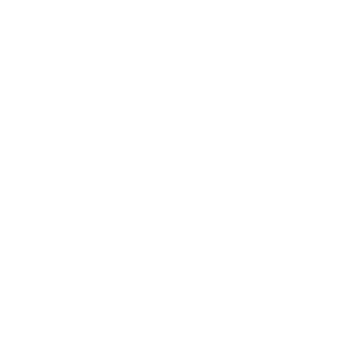 Striker-reborn's emblem