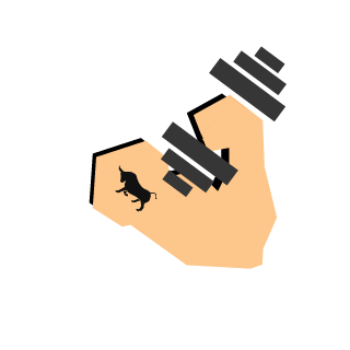 RaidTv's emblem