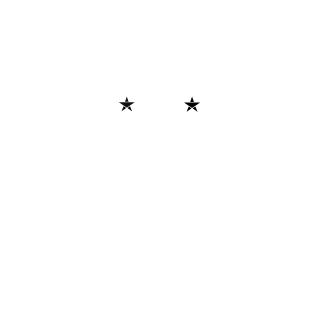 1XFIGHTER1's emblem