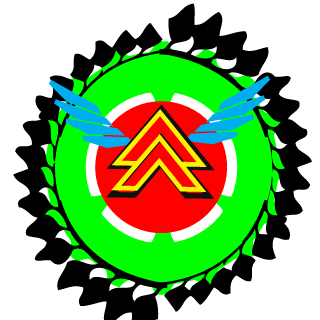 kiwi8000's emblem