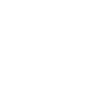 BF2the_conscript's emblem