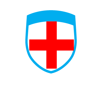 Vladiman99's emblem