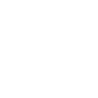 saymonvinicius's emblem