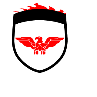 Ifel20's emblem