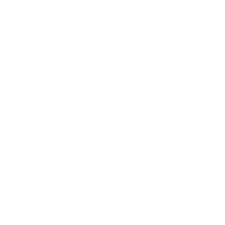 Pietrek338's emblem