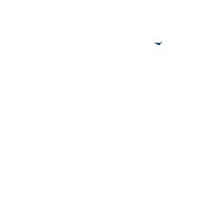 NOOB399's emblem
