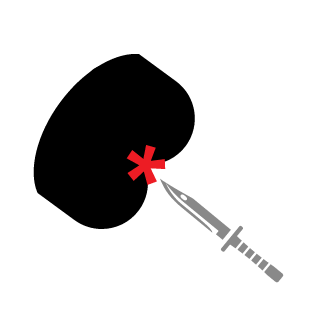 SchHeBer's emblem