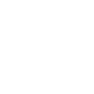 sparkplug 890's emblem