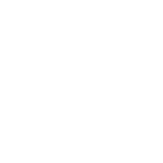 baddsid's emblem