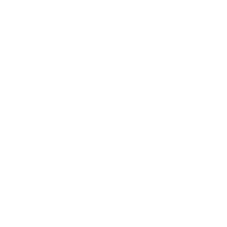 bd30's emblem