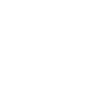 598KK598's emblem
