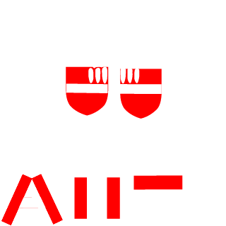 Starkiller621's emblem