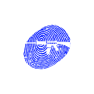 SOLEVOY_VIKING's emblem