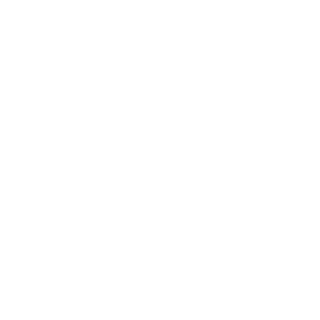 ElBSilva's emblem