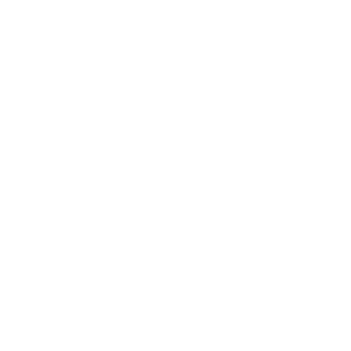 slauyer's emblem
