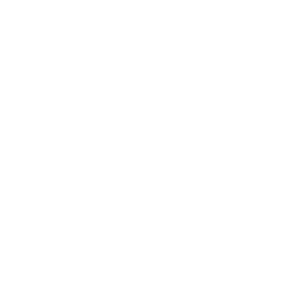 TwoStripedSocks's emblem