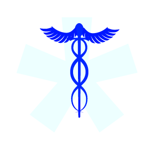 DominikO1997's emblem