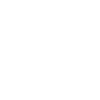 Mr_Gold333's emblem