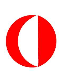 12baranutku21's emblem