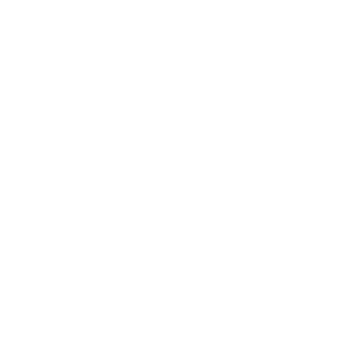 KyLeNoK-19's emblem