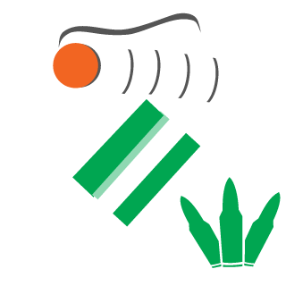 Saint_Rizla's emblem