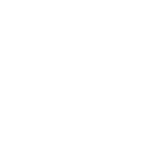 ACEsonHIGH's emblem