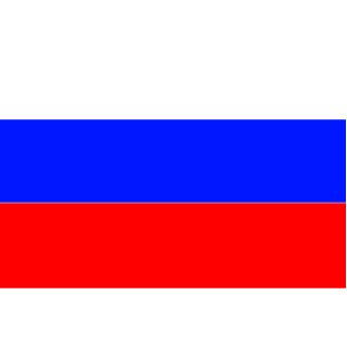 The Russian Federation's emblem