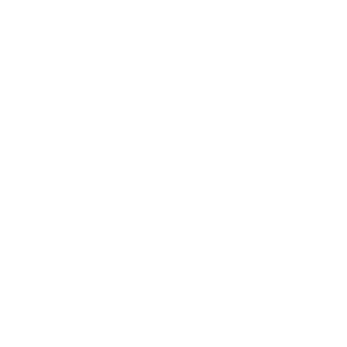 NyxFour's emblem