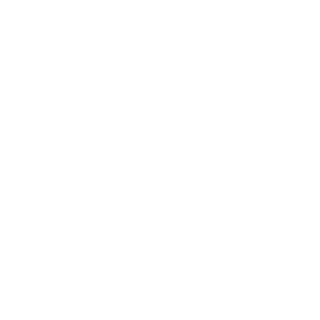 ricky_raccon_321's emblem