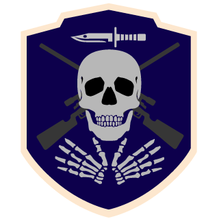 SYNDKT's emblem