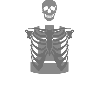 OneOfThePetes's emblem