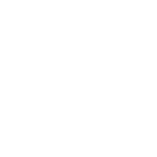 Blitzkrieg_BROru's emblem