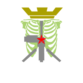 Alijsha's emblem
