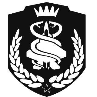 Toxic-Storm669's emblem