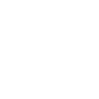 Newerton's emblem