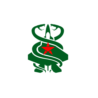 19263512's emblem