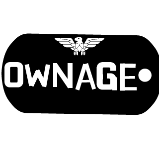 1337hulk1337's emblem