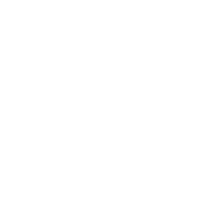 sab-zero333's emblem