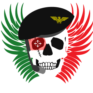 tipoucaro's emblem