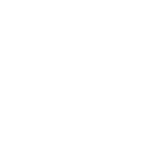 dannyhanes's emblem