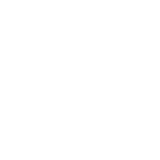 FamtomSG's emblem