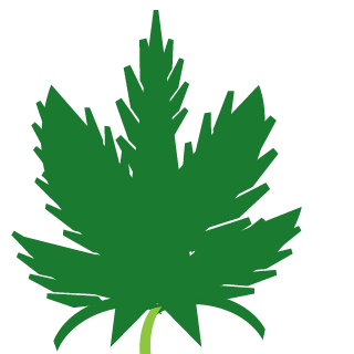 Schw1fty88's emblem