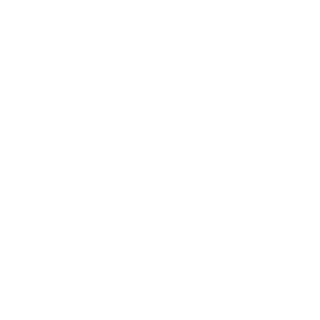 IPPON1979's emblem