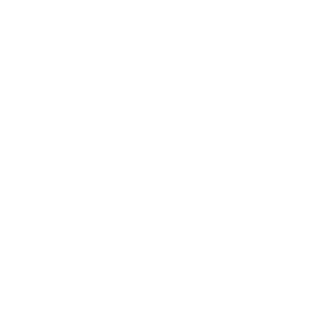 Fly 0r Die 85's emblem