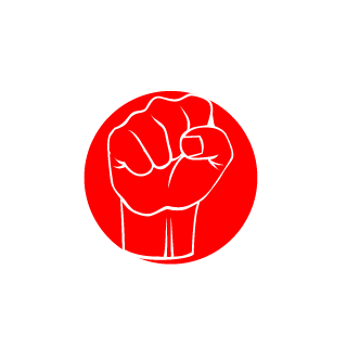 ZappyNoodles's emblem
