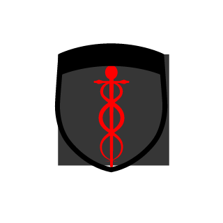 N7 BlitzKrieg's emblem