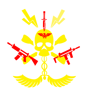 _HollowNi11ks_'s emblem
